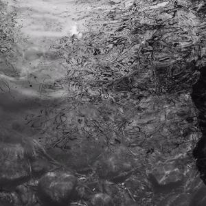 女性脱👙给我揉🐻+亲嘴动漫
